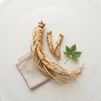 Ginseng