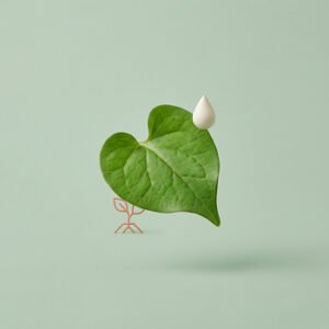 Heartleaf