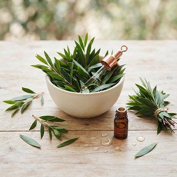 Tea Tree